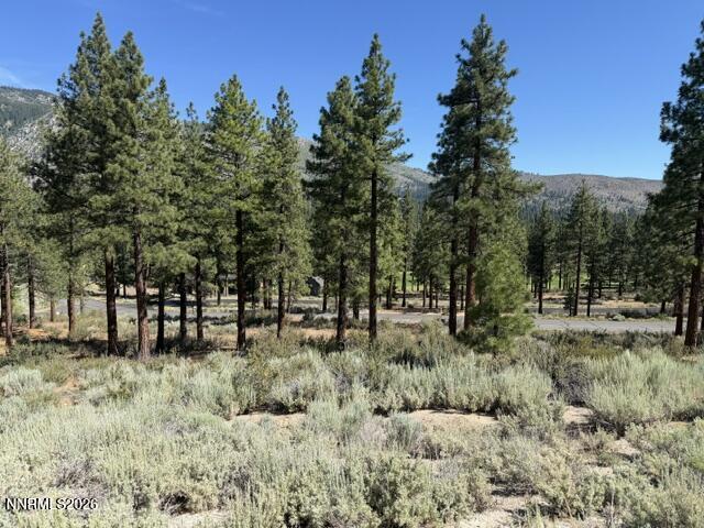 3265 Summit Camp Way C24/310 Property Photo 4