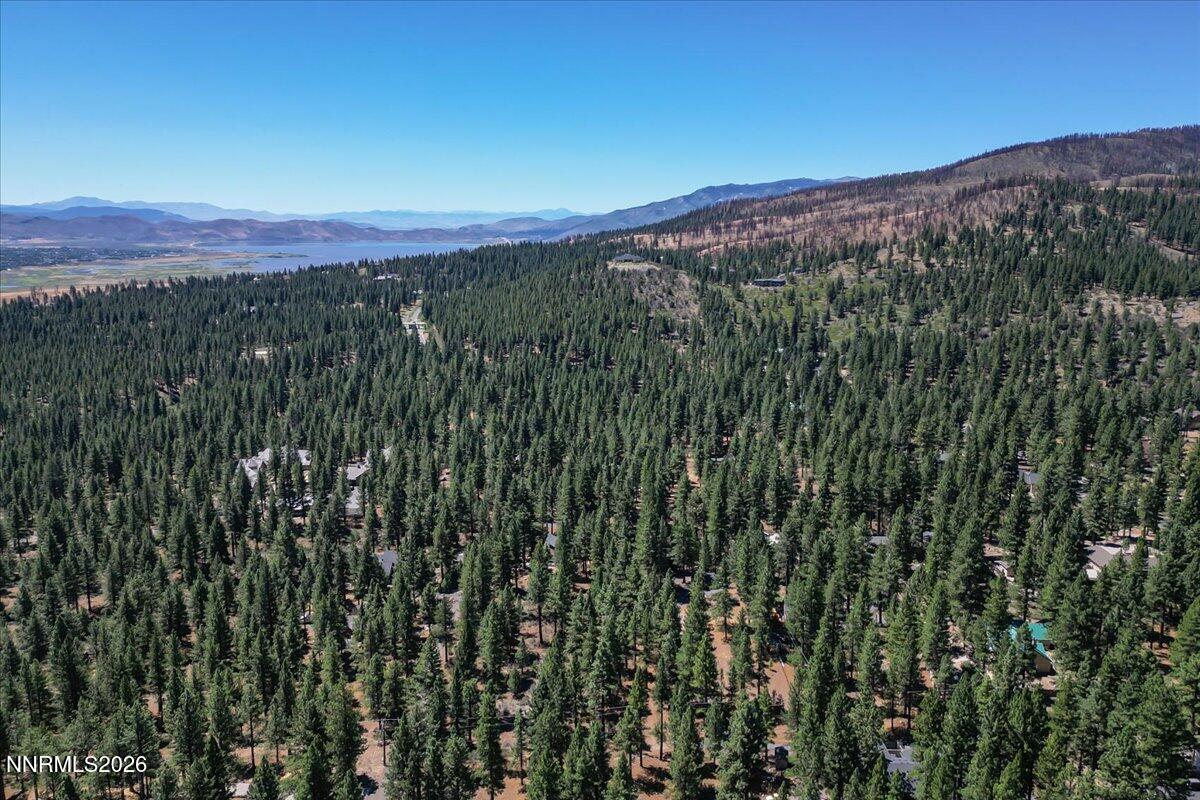 16730 Maggie Circle Property Photo 11