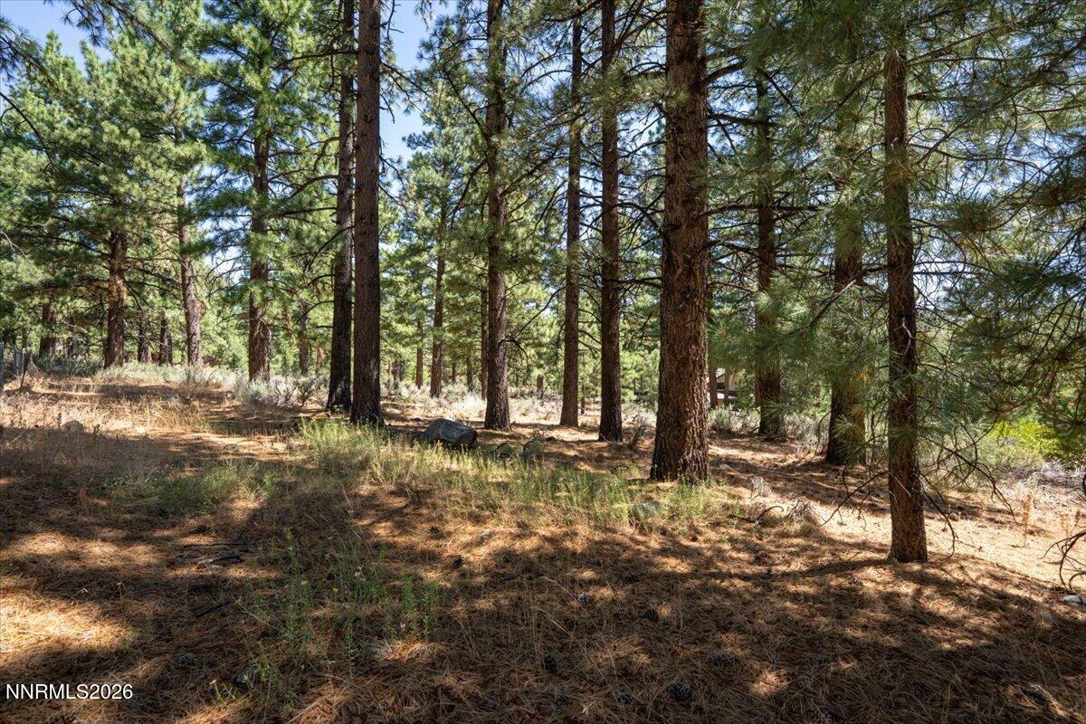 16730 Maggie Circle Property Photo 14