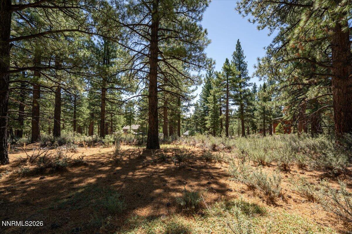 16730 Maggie Circle Property Photo 15