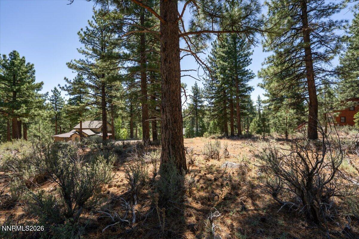 16730 Maggie Circle Property Photo 16