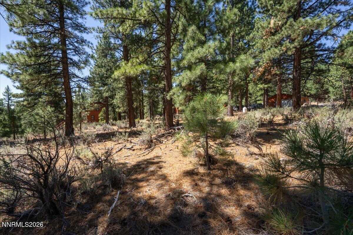 16730 Maggie Circle Property Photo 17