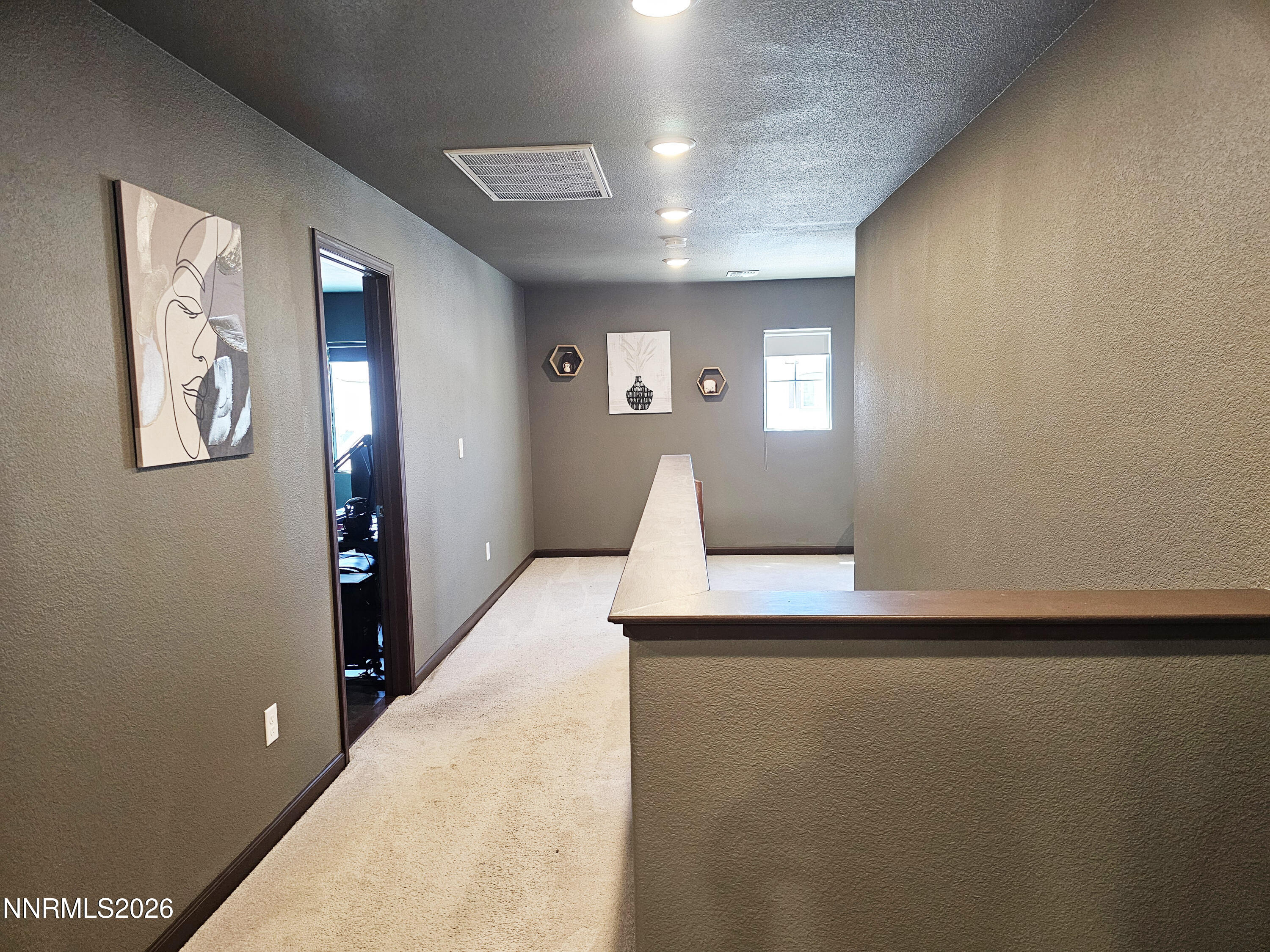 9025 Antelope Pass Drive Property Photo 19