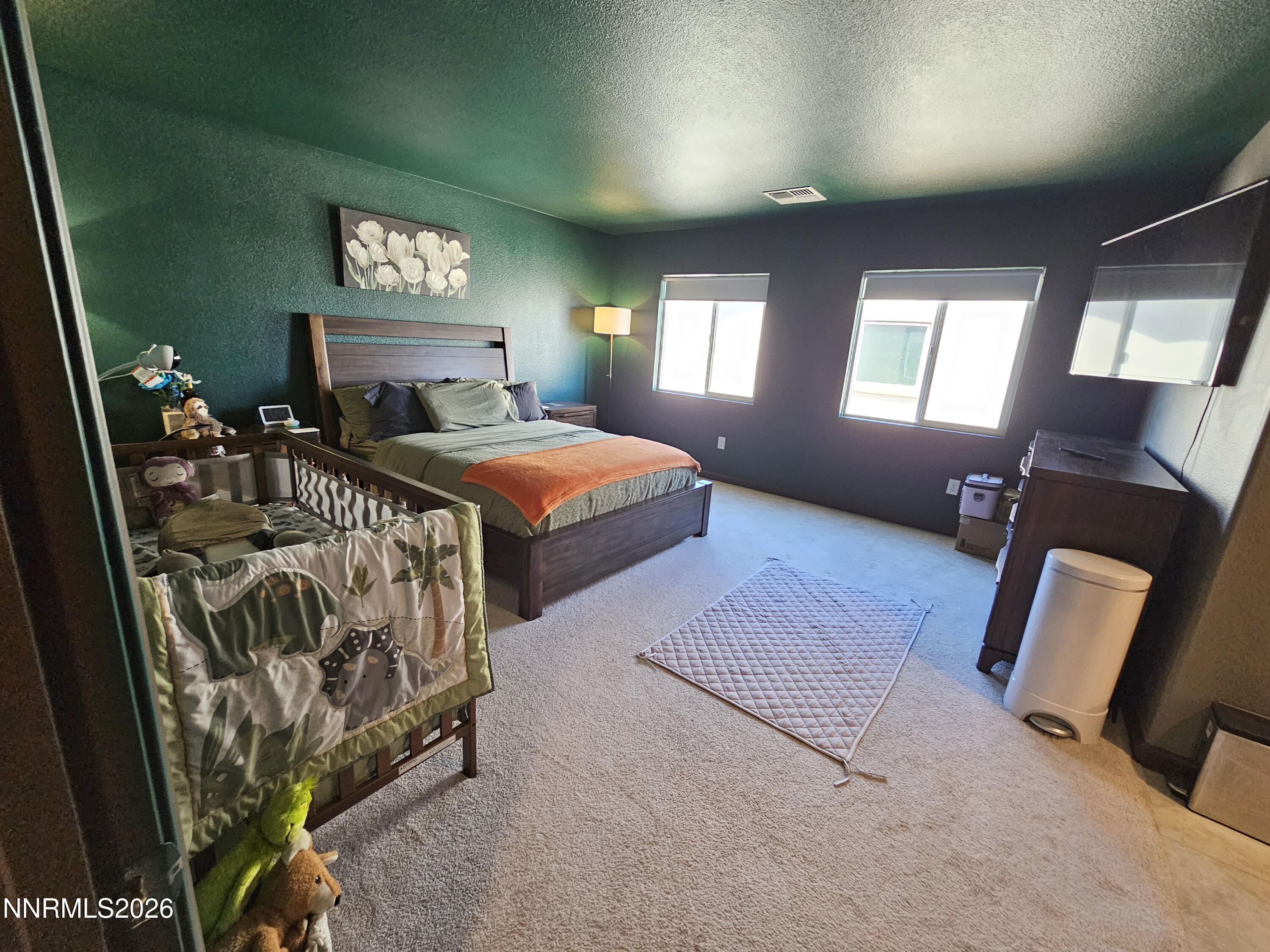 9025 Antelope Pass Drive Property Photo 20