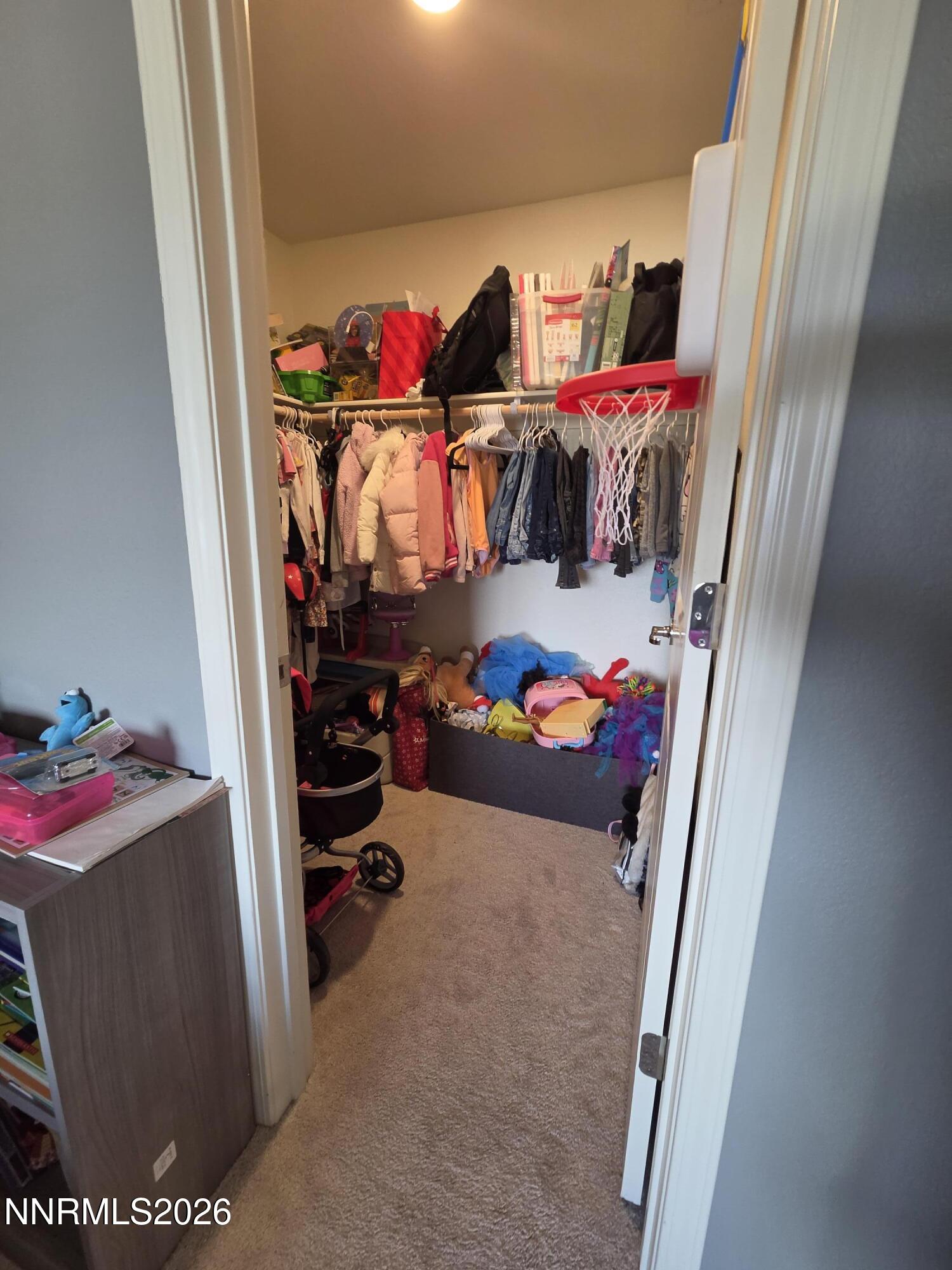 9025 Antelope Pass Drive Property Photo 27