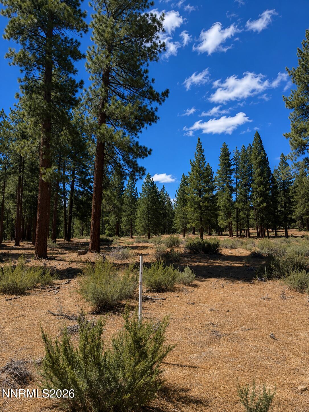 3571 Knob Point Trail 92 Property Photo 5