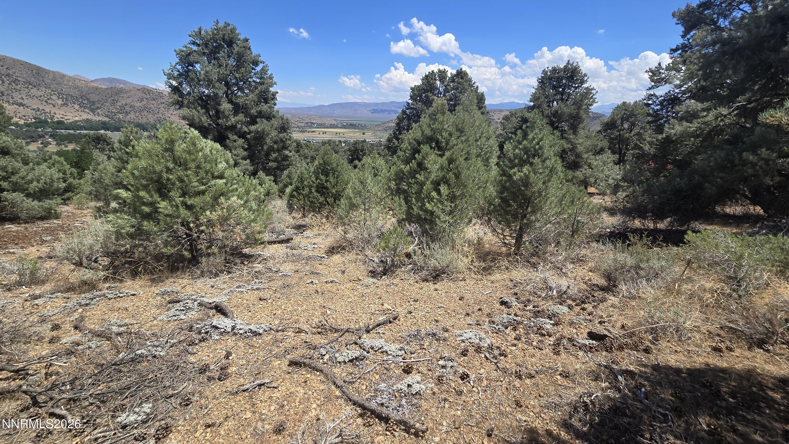 1548 Moss Circle Property Photo 4