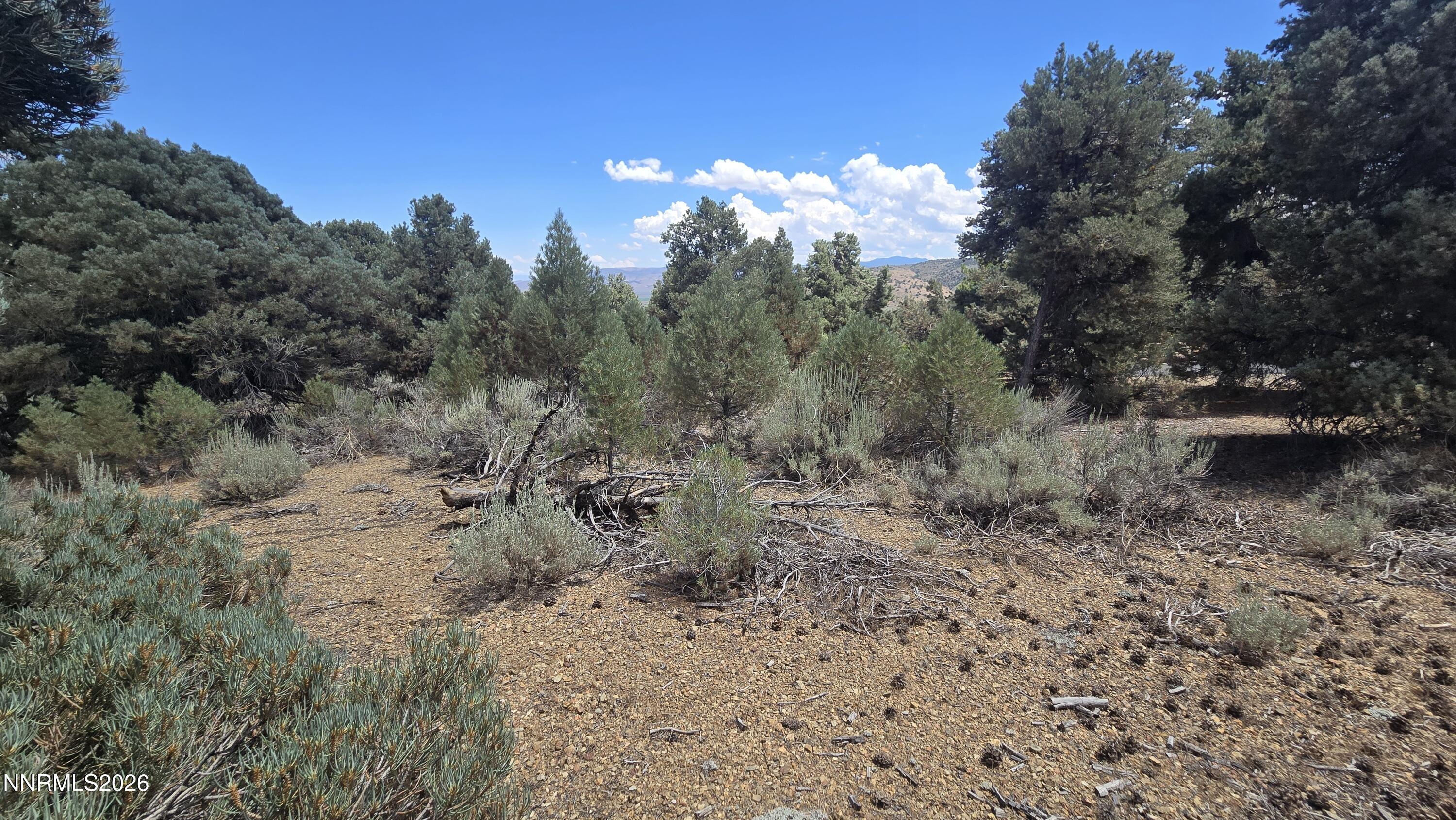 1548 Moss Circle Property Photo 9