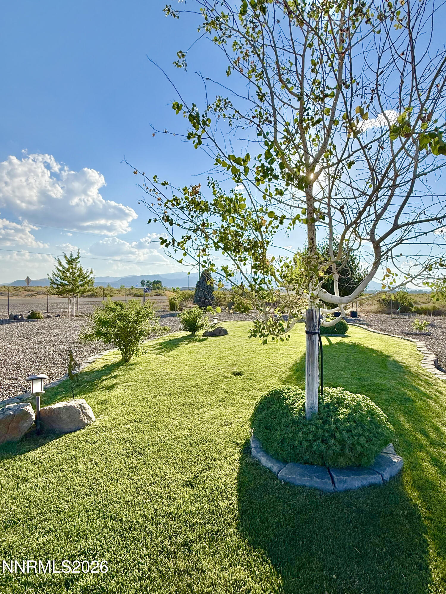 2171 Muleshoe Road Property Photo 5