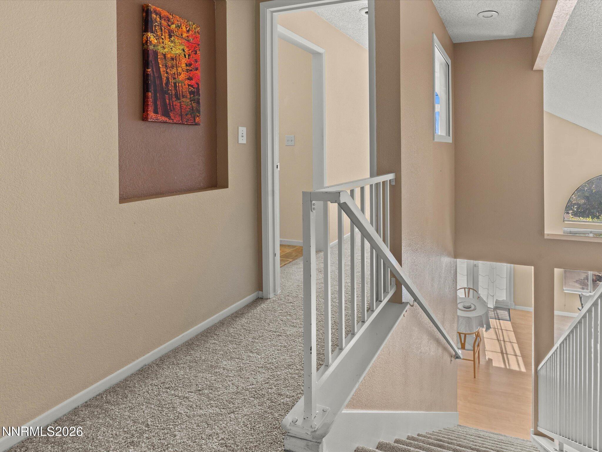 1560 Reno View Drive Property Photo 29