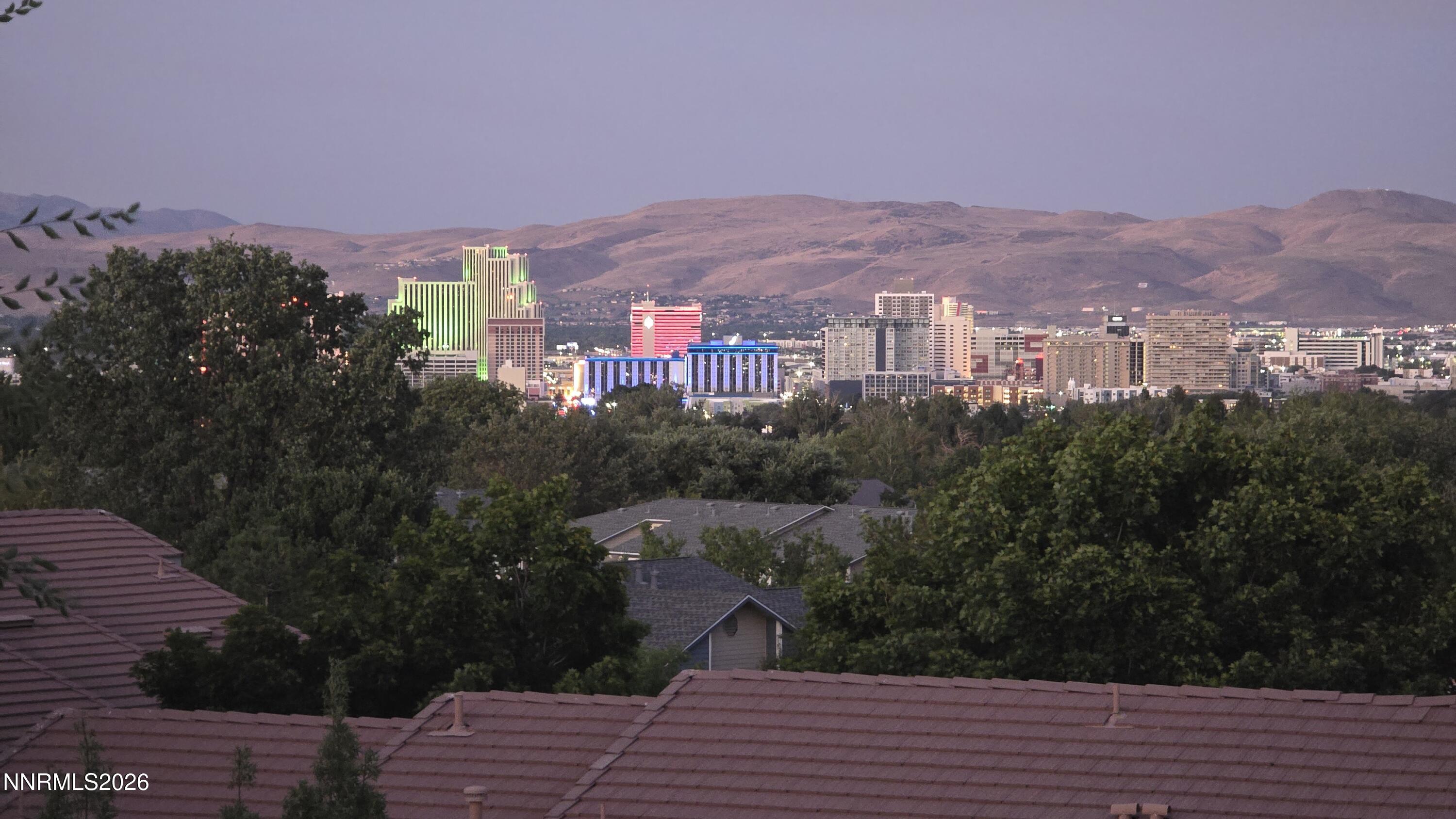 1560 Reno View Drive Property Photo 60
