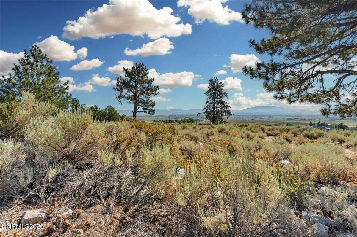 1211 Quail Ridge Road Property Photo 14