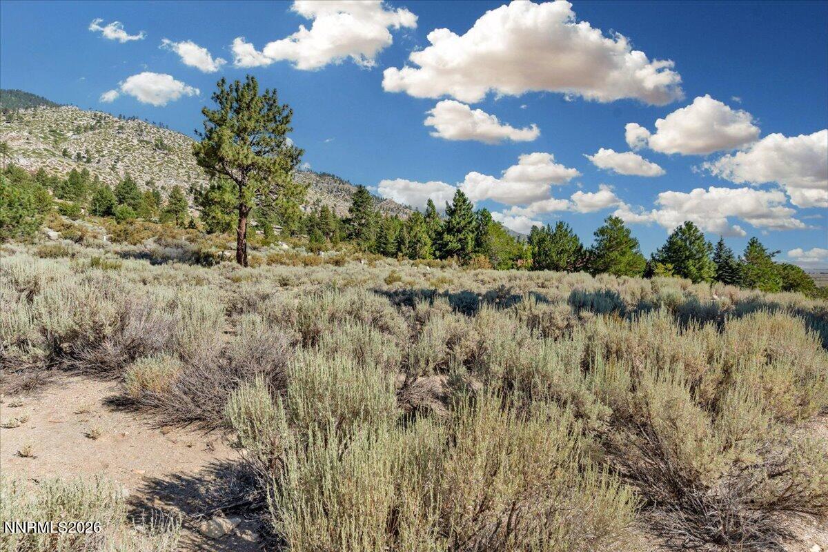 1211 Quail Ridge Road Property Photo 15
