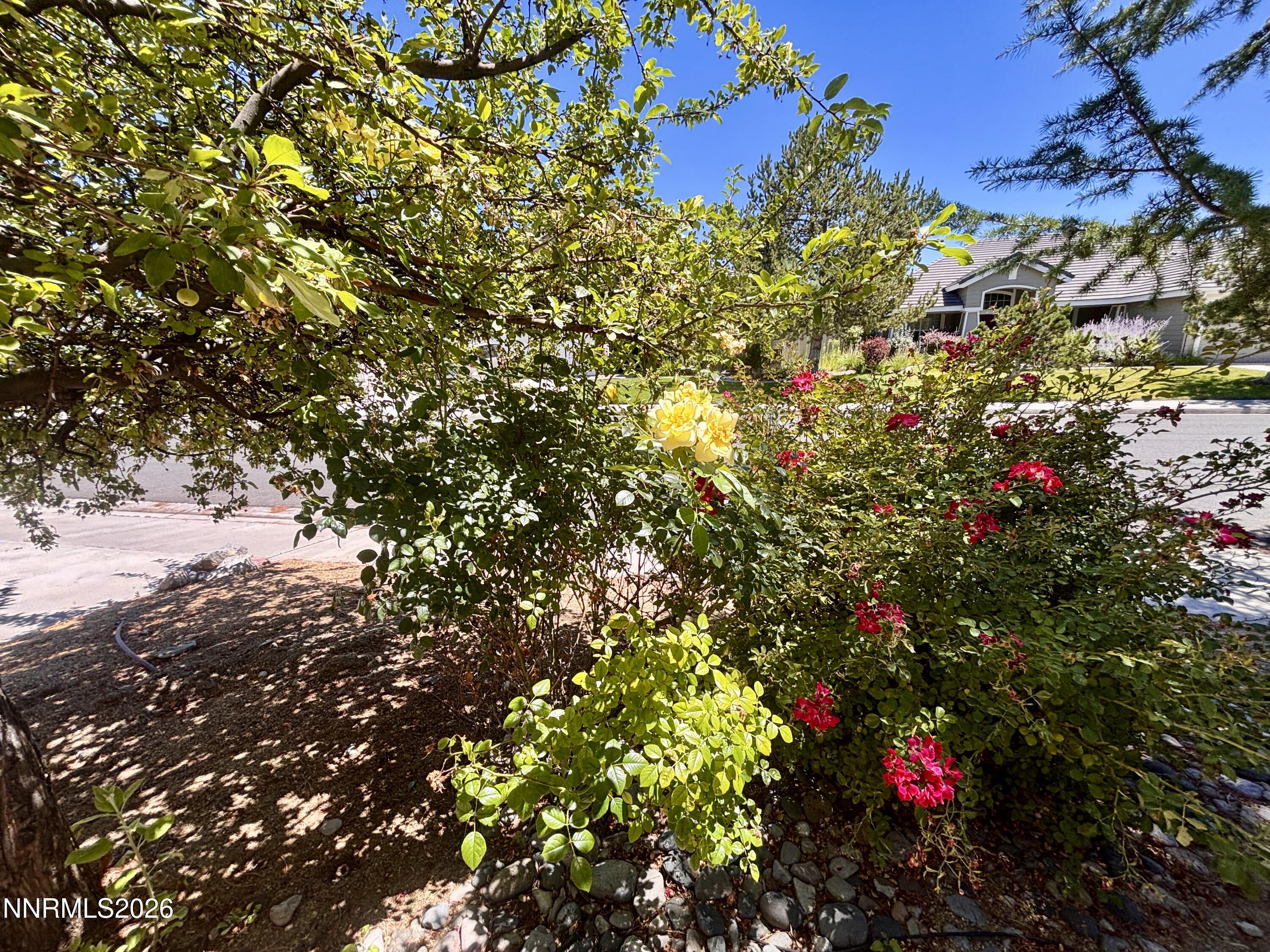 9933 Rio Bravo Drive Property Photo 33
