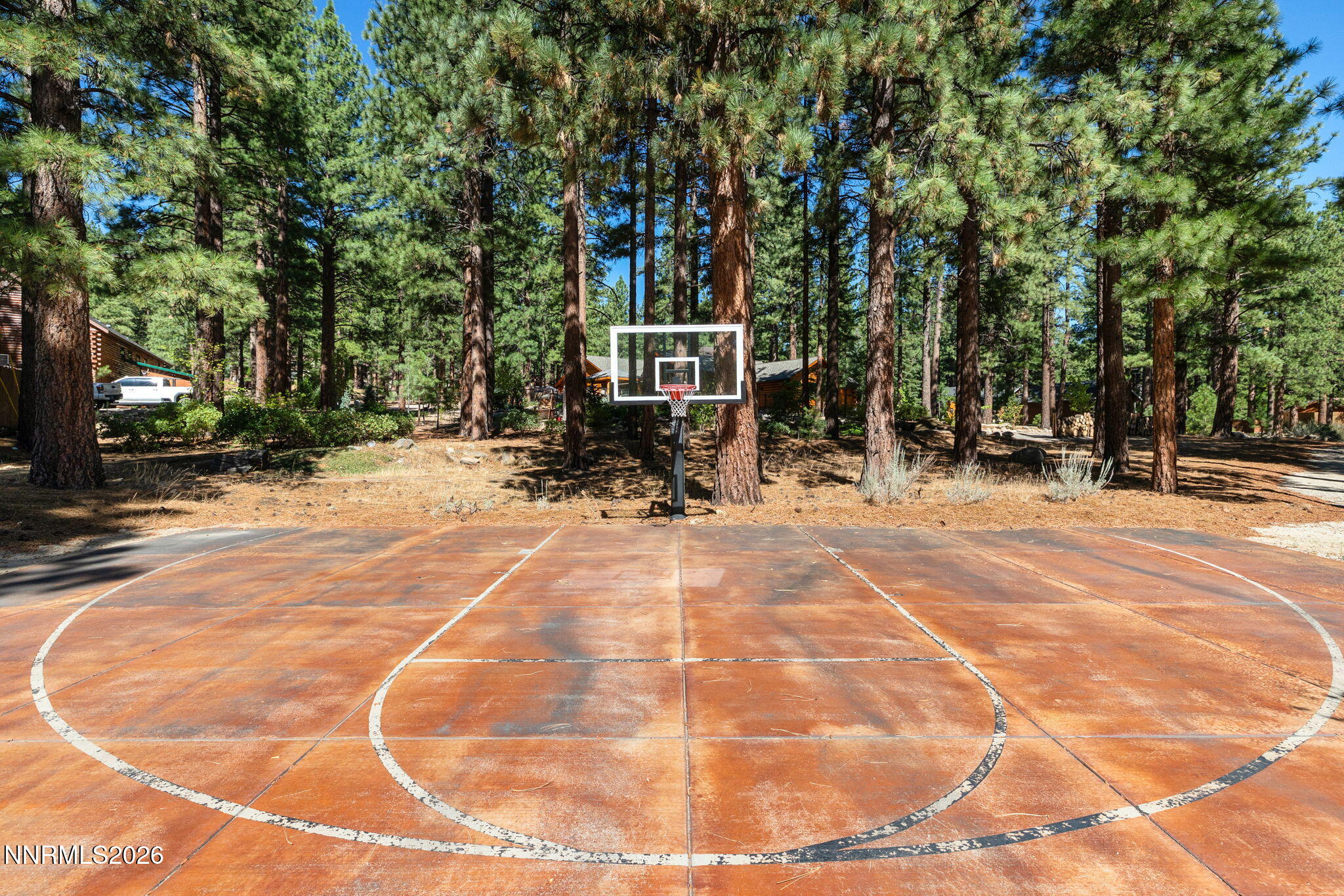 17010 Mountain Bluebird Drive Property Photo 49