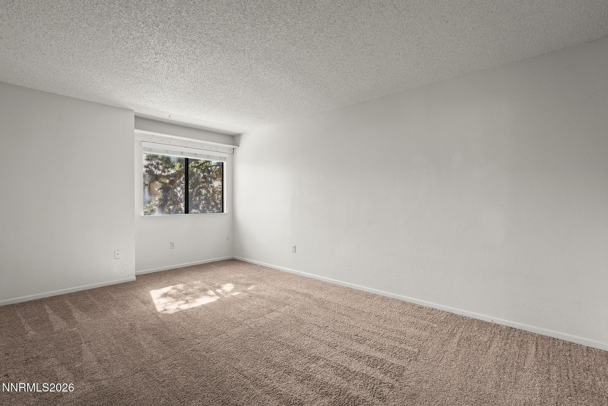 907 Tyler Way Property Photo 20