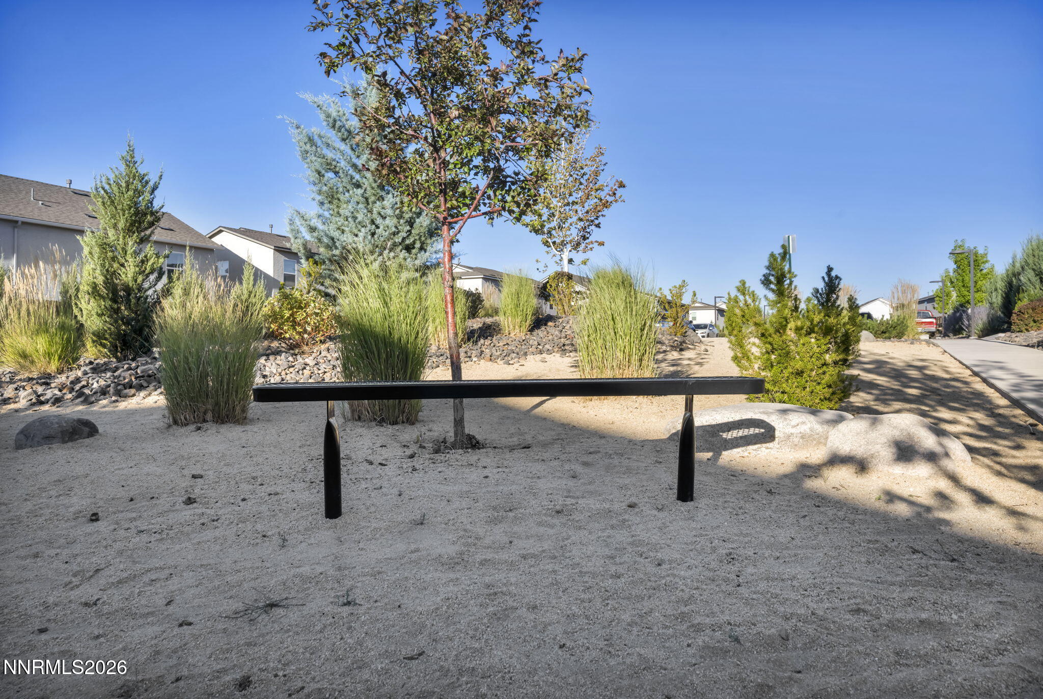 8863 Wolf Moon Drive Property Photo 16