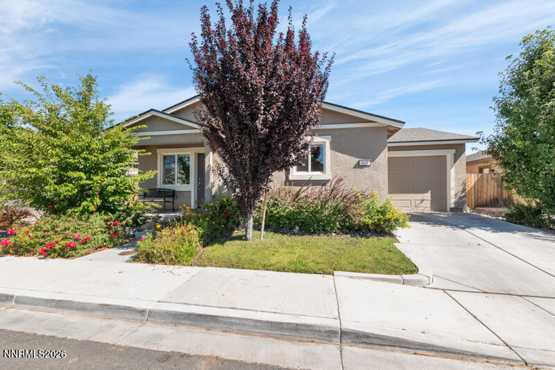 643 Osino Drive Property Photo 1
