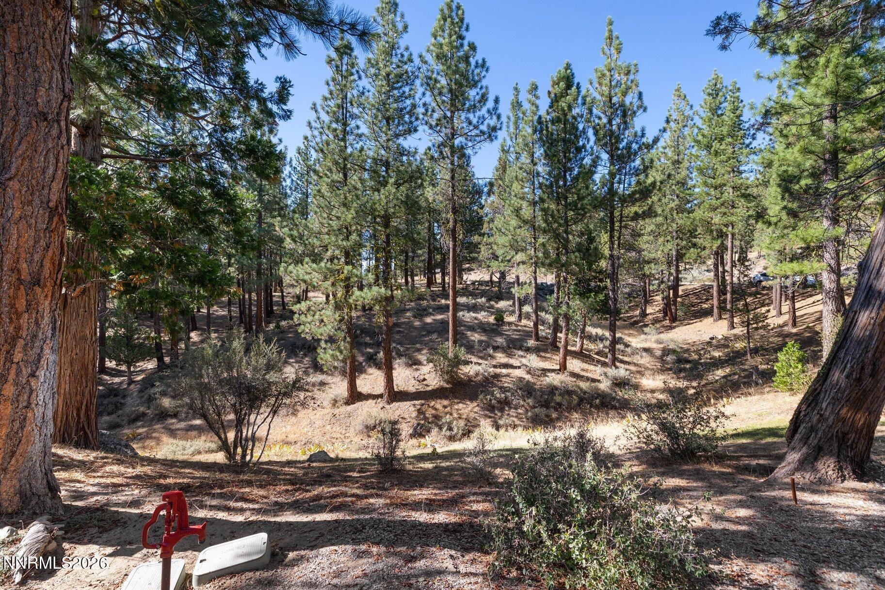 978 Dancing Bears Property Photo 49