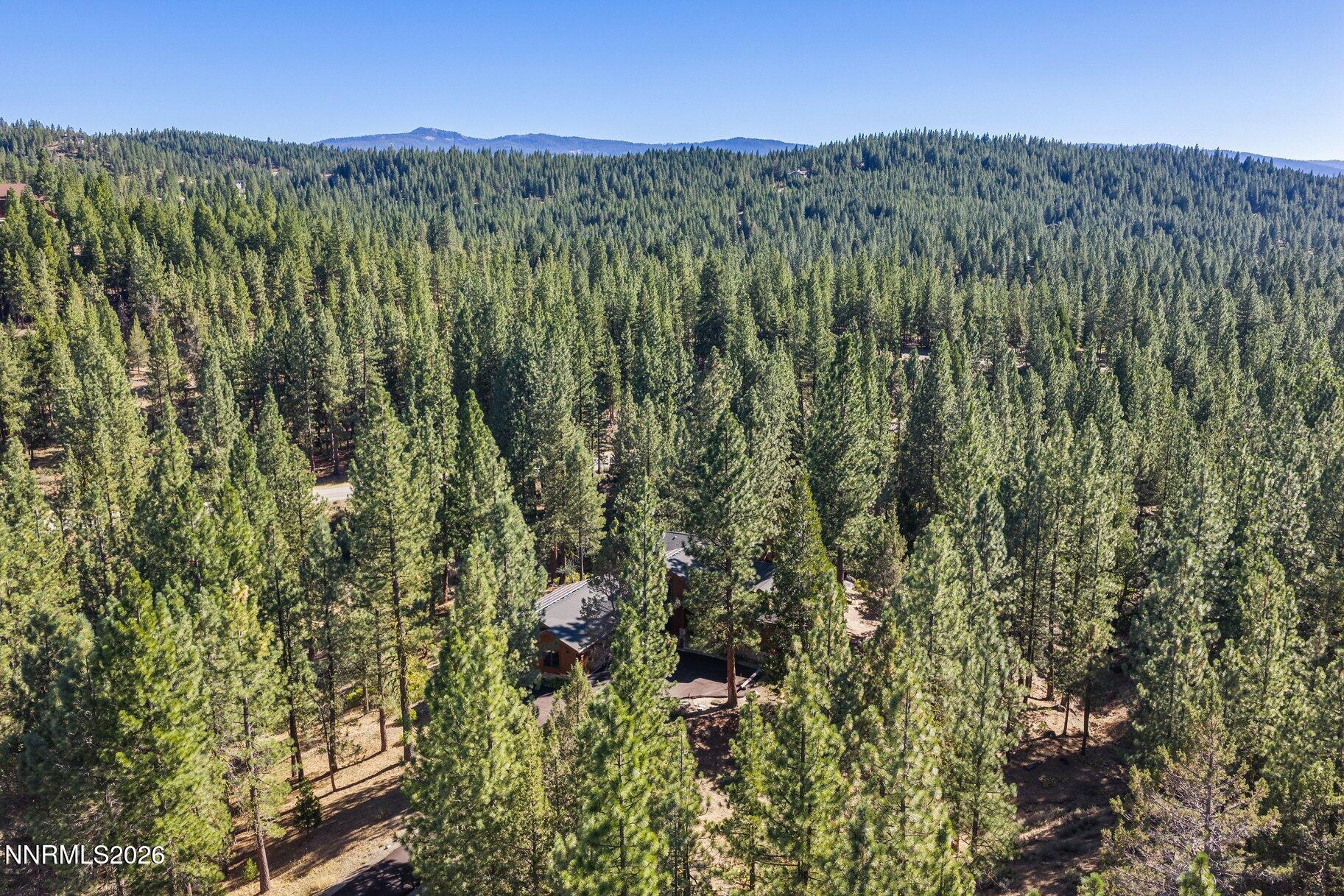 978 Dancing Bears Property Photo 70