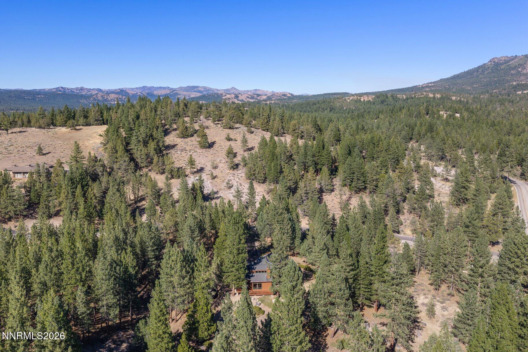 978 Dancing Bears Property Photo 73