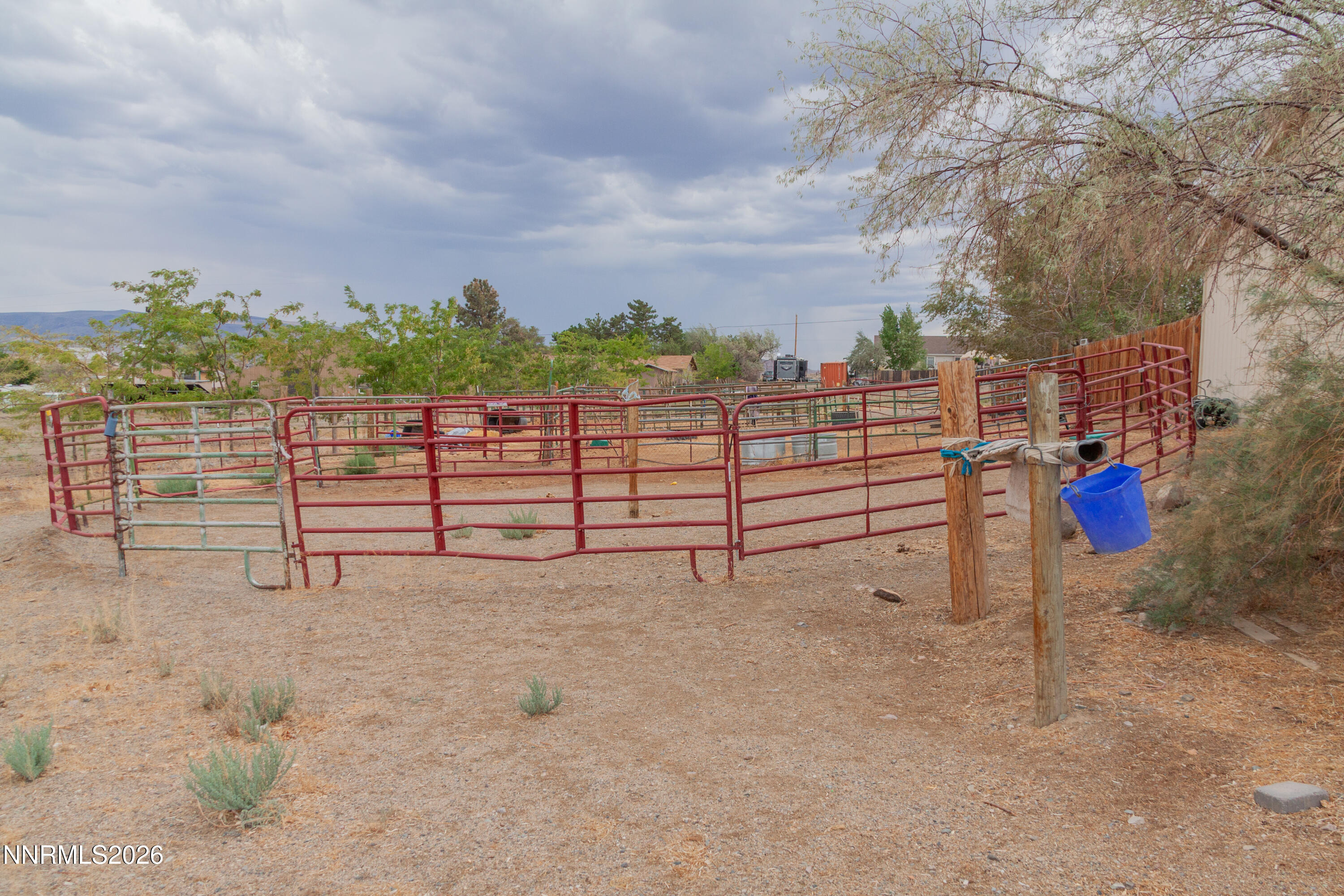 1385 Cooney Drive Property Photo 4