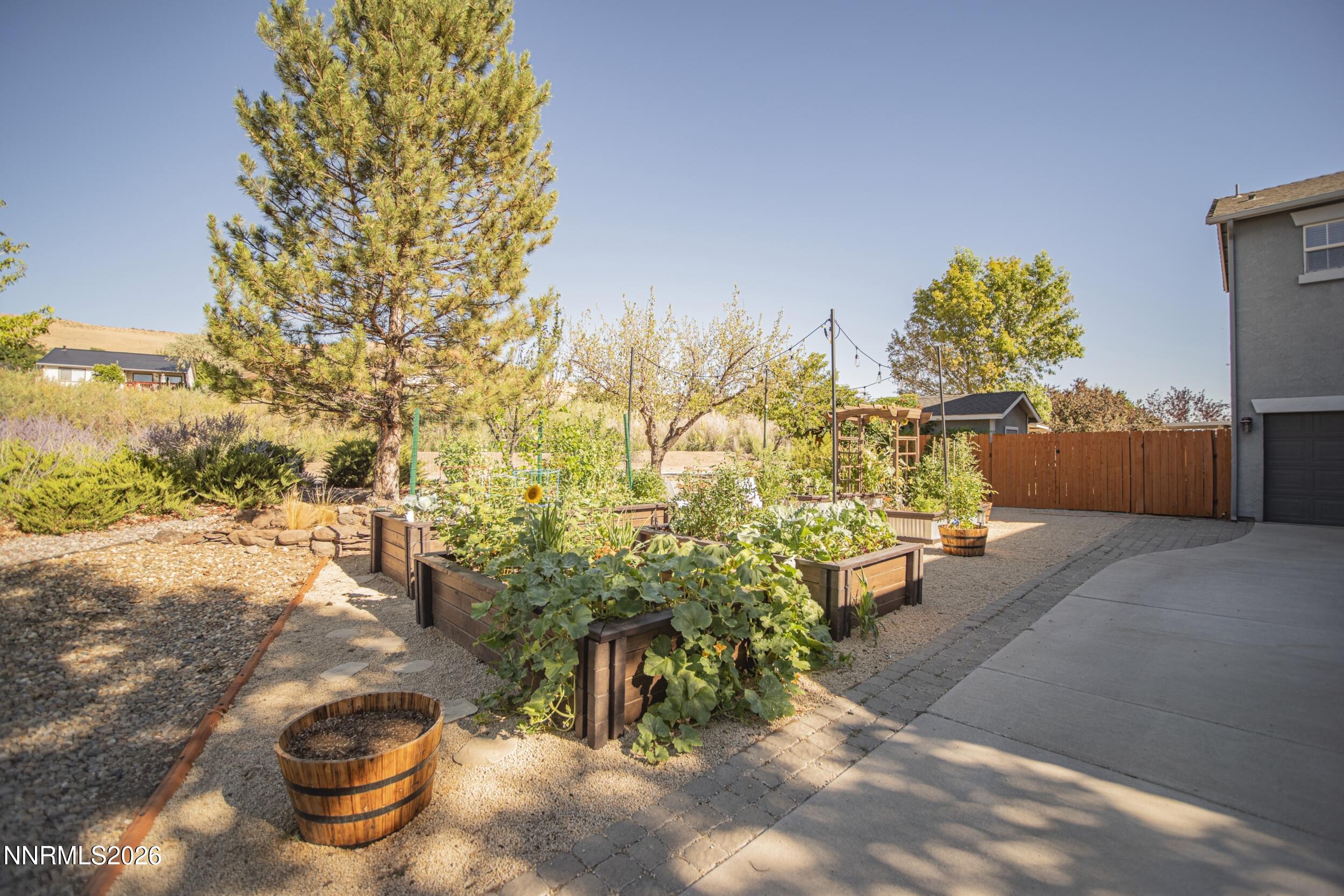 578 Carson Pass Court Property Photo 4
