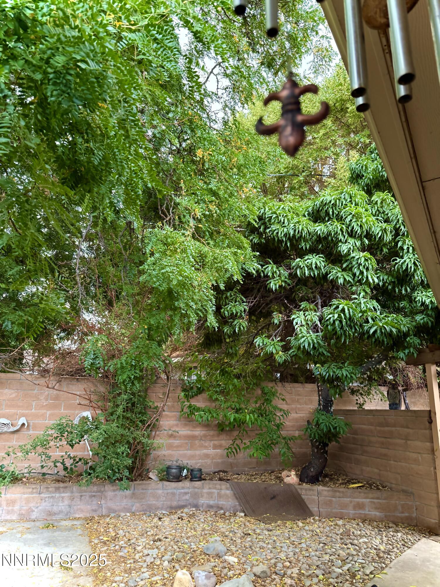 1616 Belarra Drive Property Photo 19