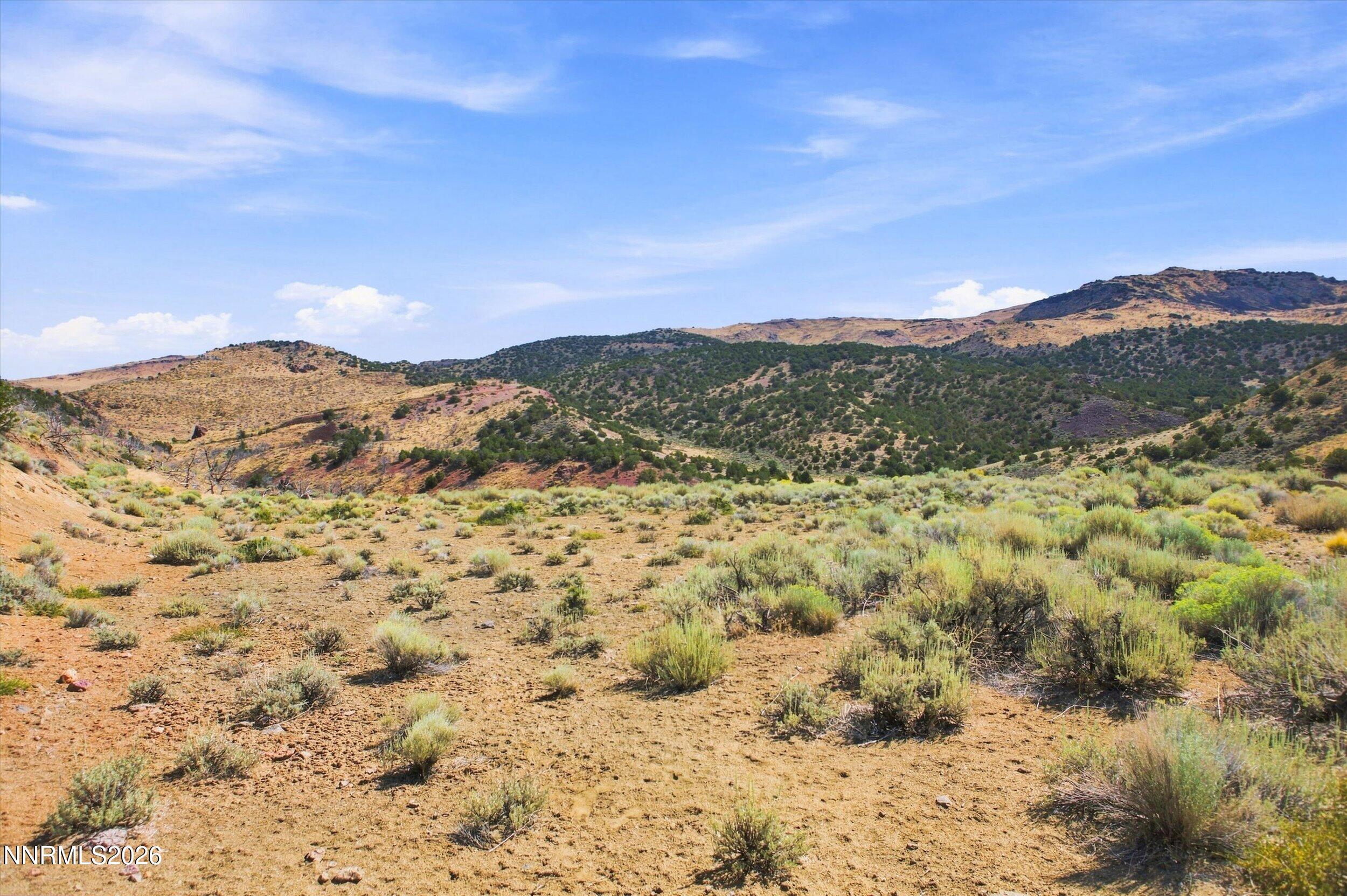 1800 Wrangler Road Property Photo 7