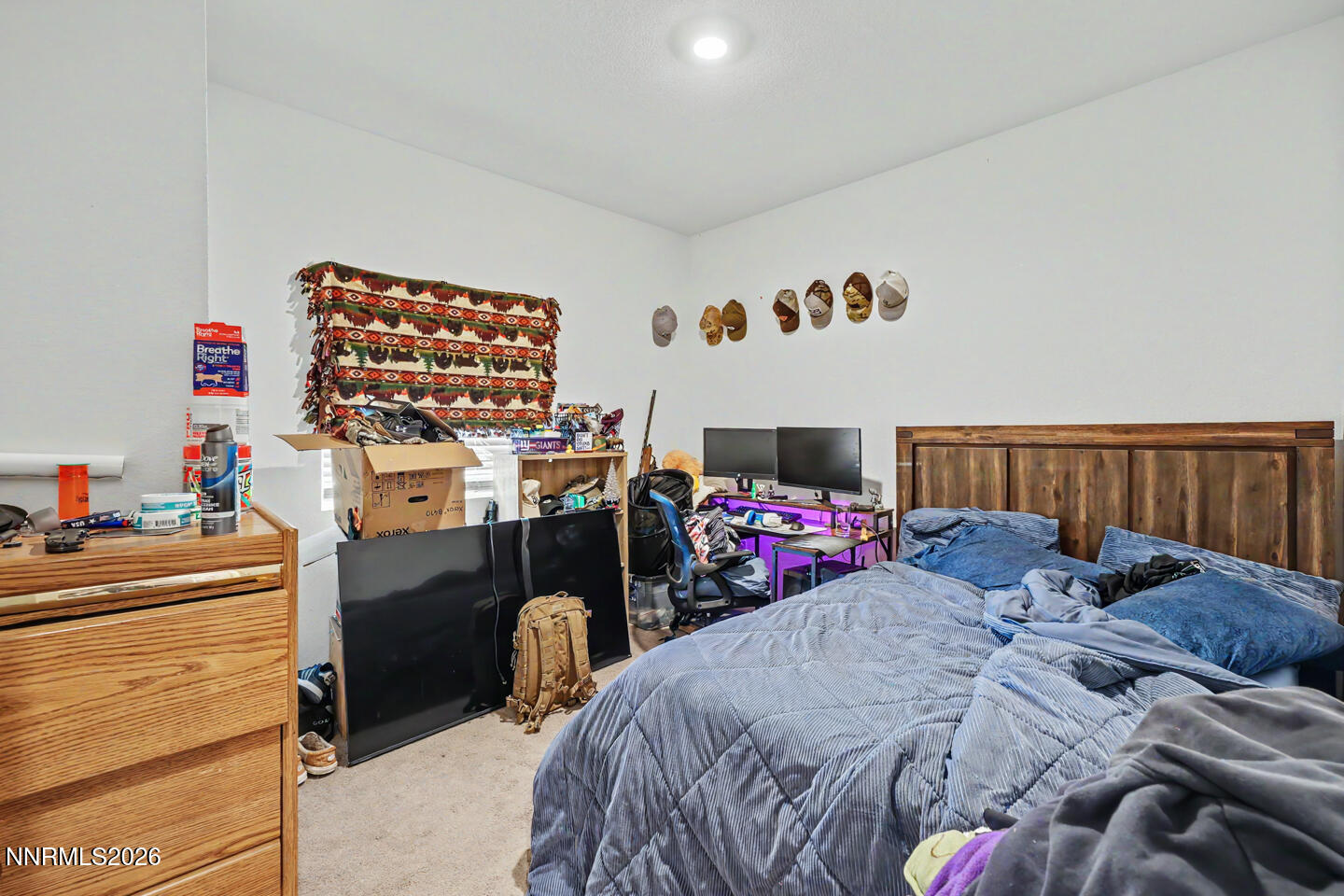 1040 Conifer Drive Property Photo 13