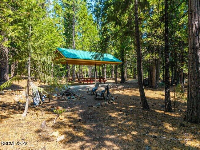 1001 Pinion Pine Trail Property Photo 4