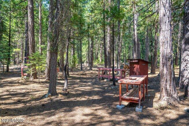 1001 Pinion Pine Trail Property Photo 5