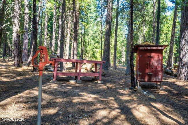 1001 Pinion Pine Trail Property Photo 6