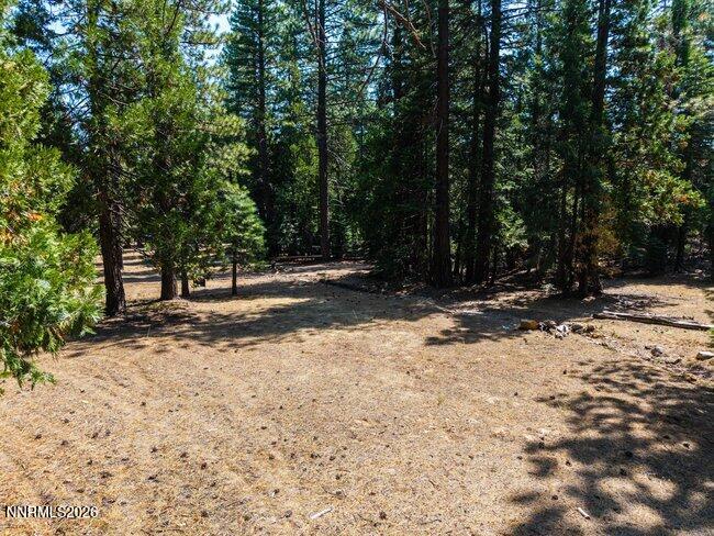 1001 Pinion Pine Trail Property Photo 11