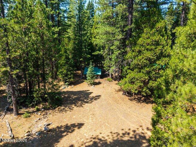 1001 Pinion Pine Trail Property Photo 12