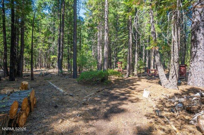 1001 Pinion Pine Trail Property Photo 14