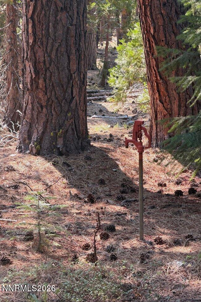 1001 Pinion Pine Trail Property Photo 20