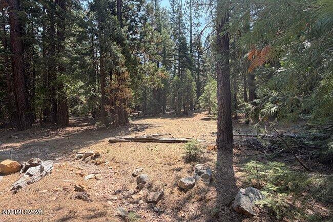 1001 Pinion Pine Trail Property Photo 21