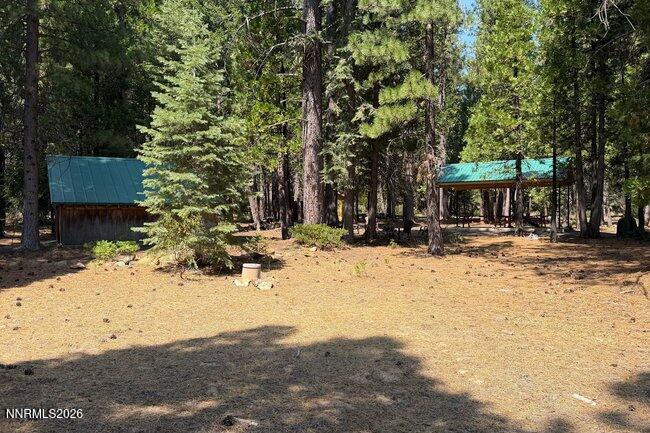 1001 Pinion Pine Trail Property Photo 22