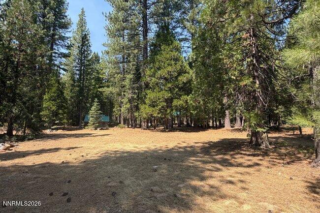 1001 Pinion Pine Trail Property Photo 23