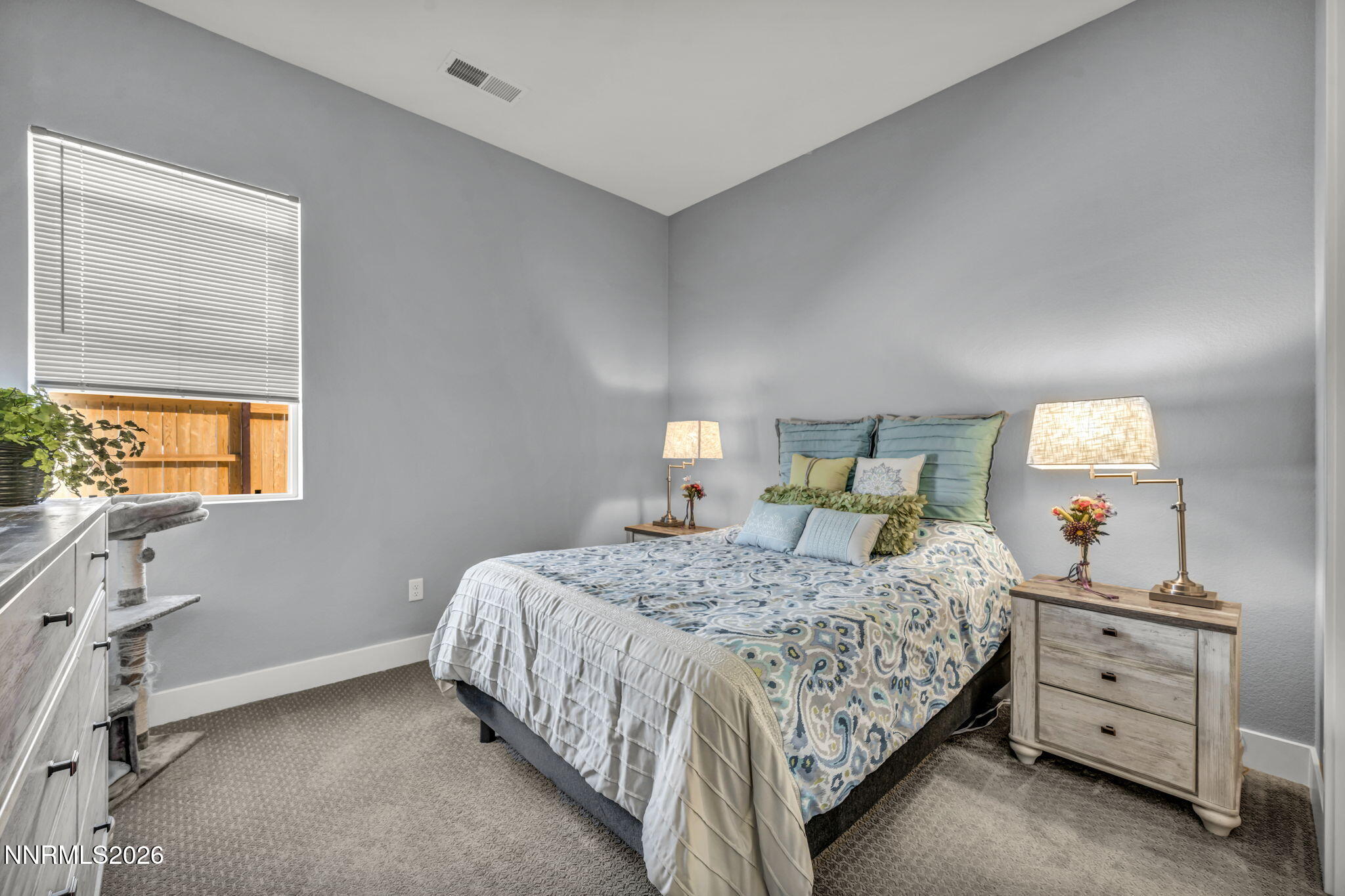 11599 Vinegar Peak Drive Property Photo 42