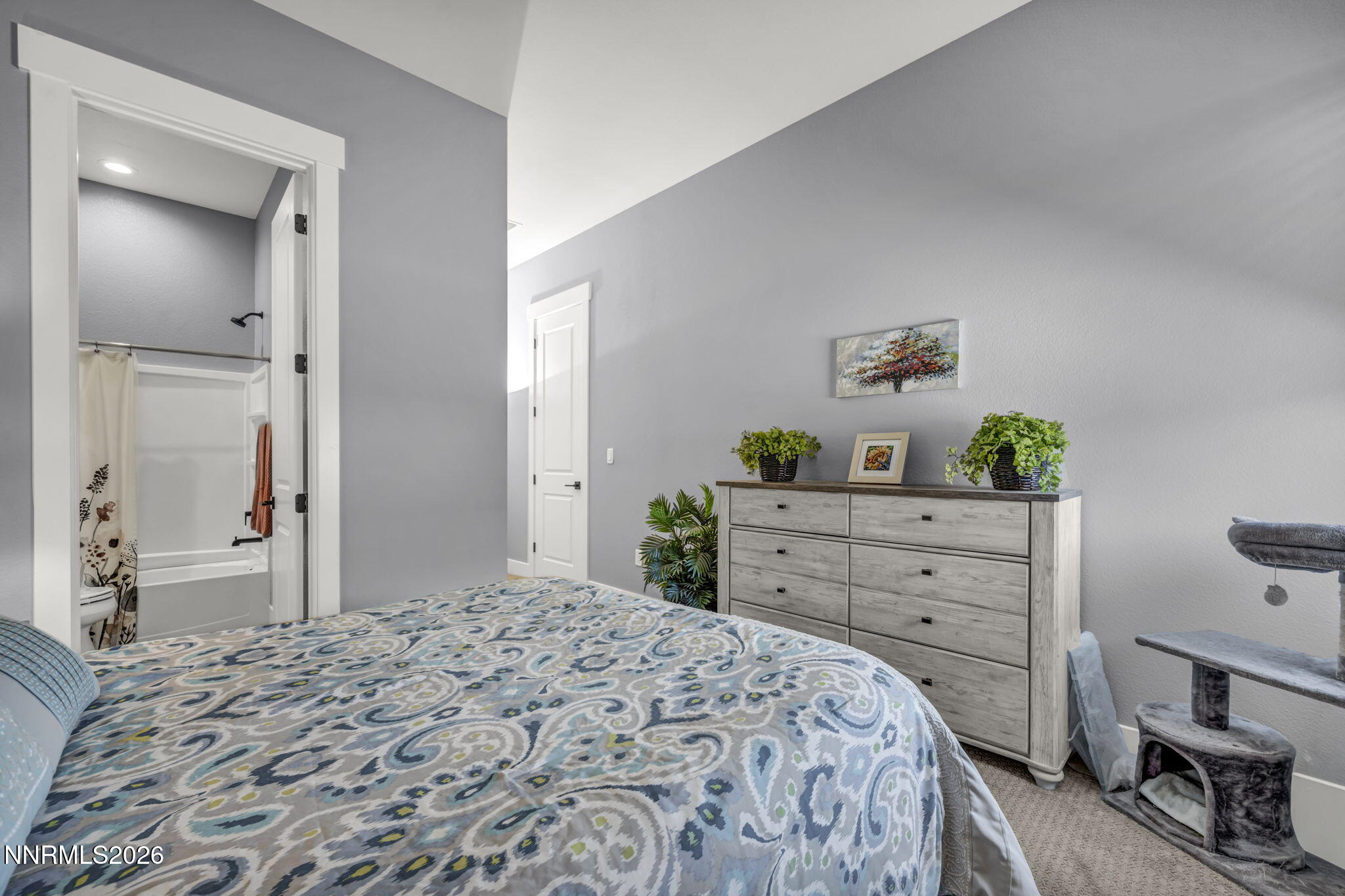11599 Vinegar Peak Drive Property Photo 43