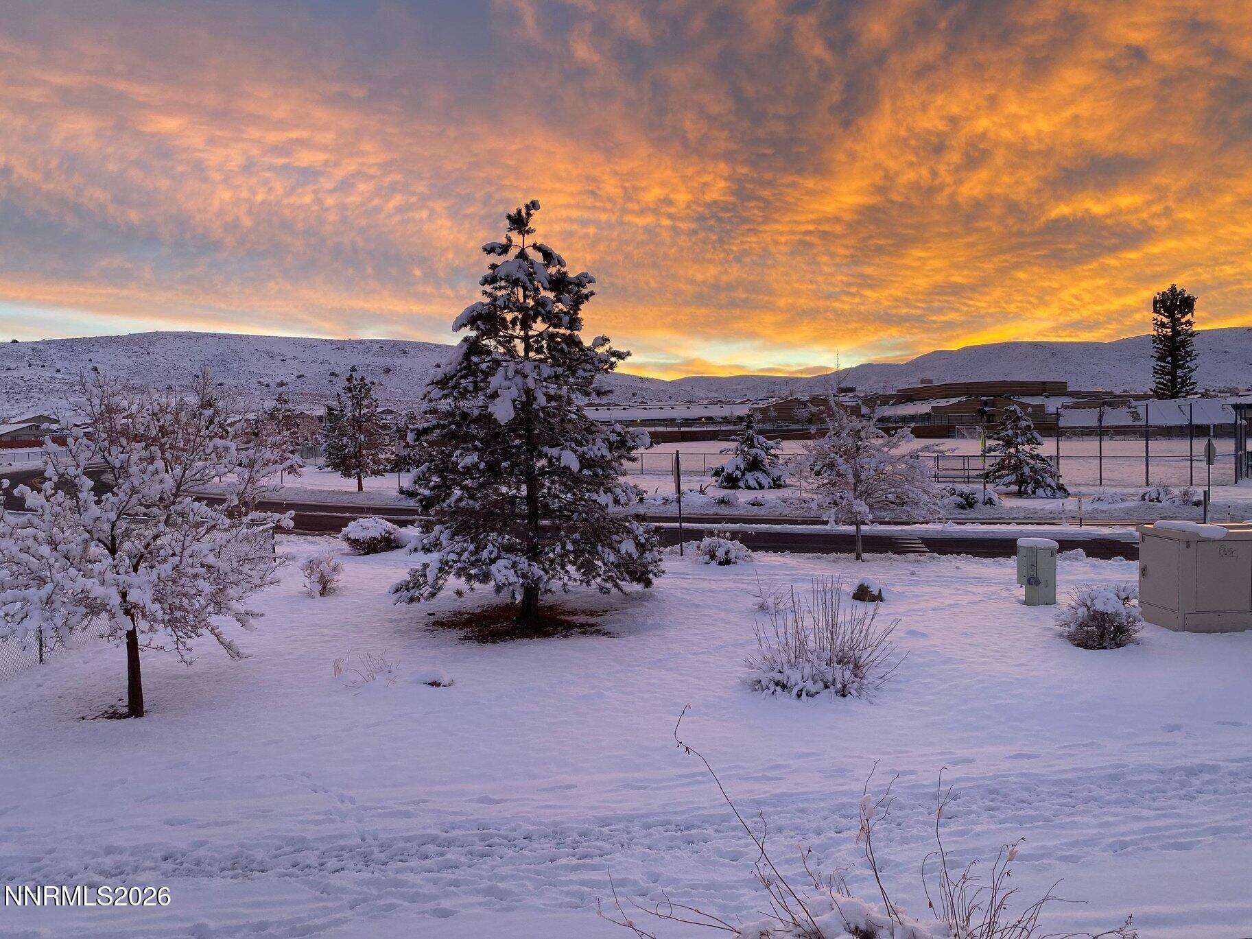 18366 Whitebark Court Property Photo 40