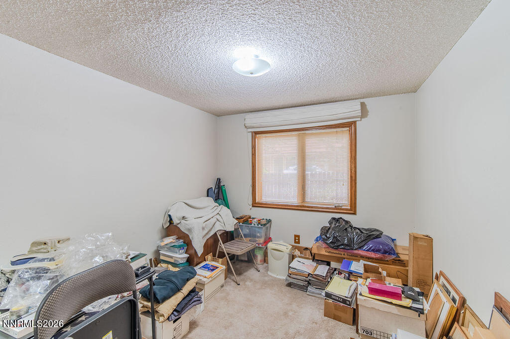 195 Hansen Drive Property Photo 38