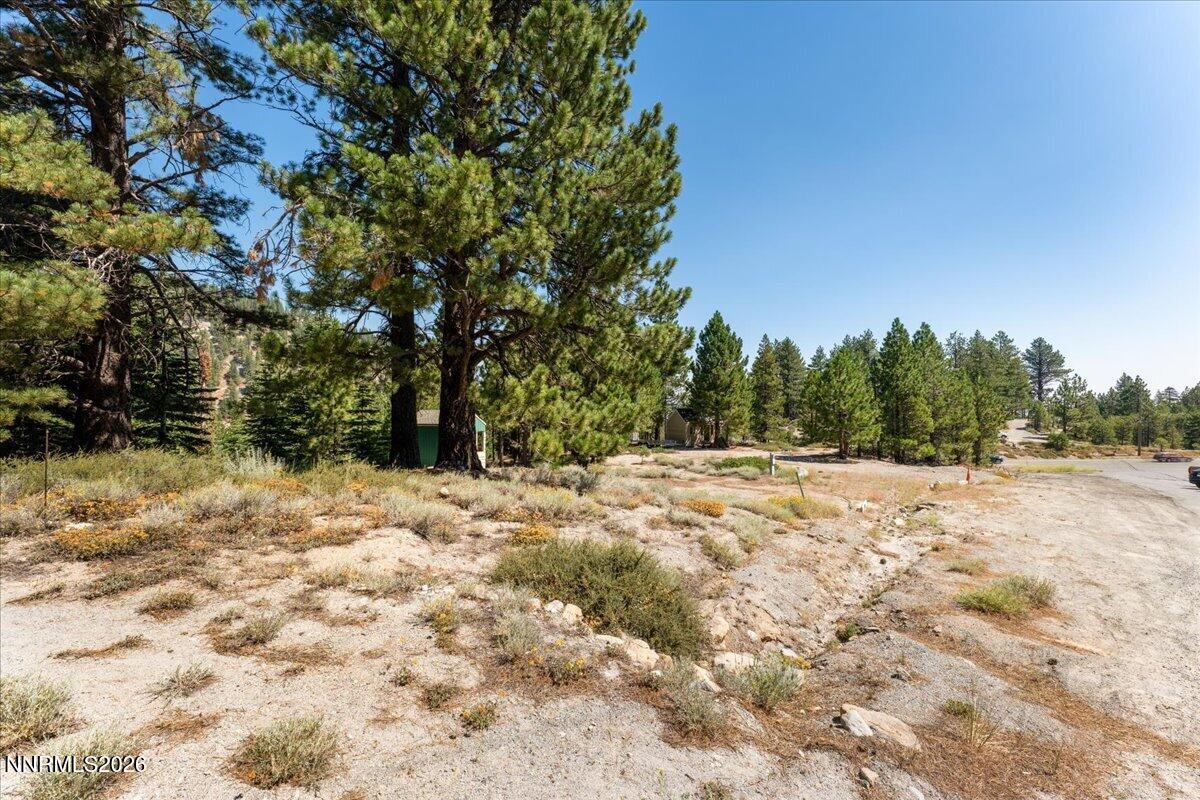 1025 Sky Tavern Road Property Photo 11