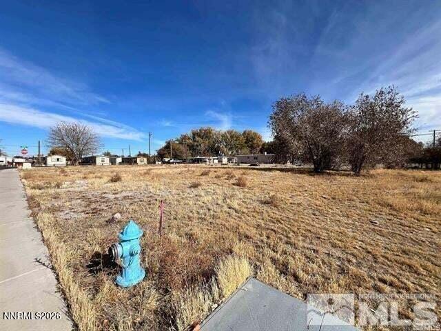 321 Silver Spur Drive Property Photo 2
