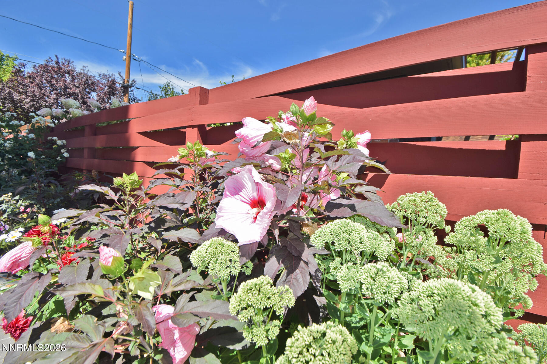 1175 Fairfield Avenue Property Photo 38