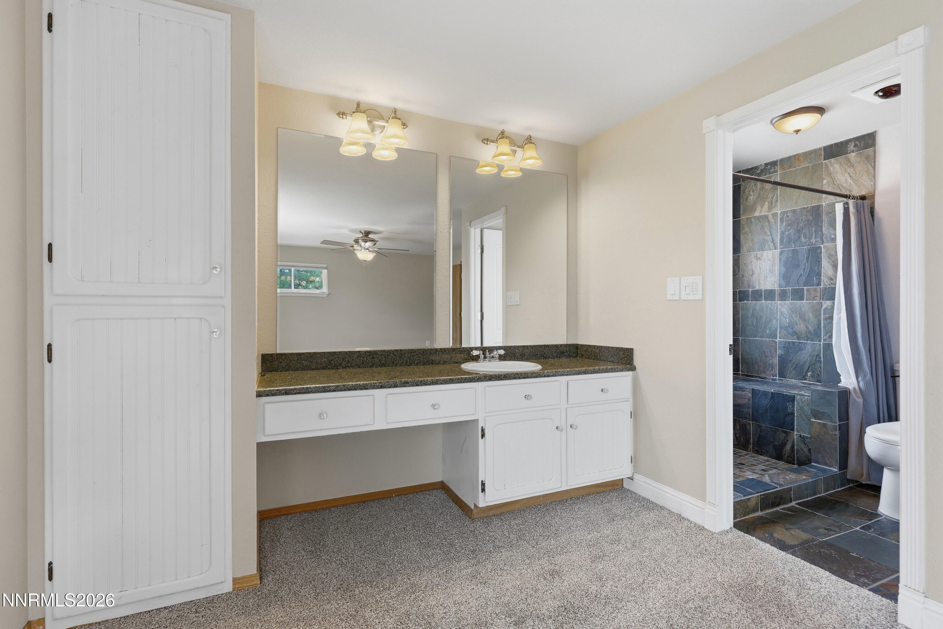 5200 Silver Sage Drive Property Photo 19