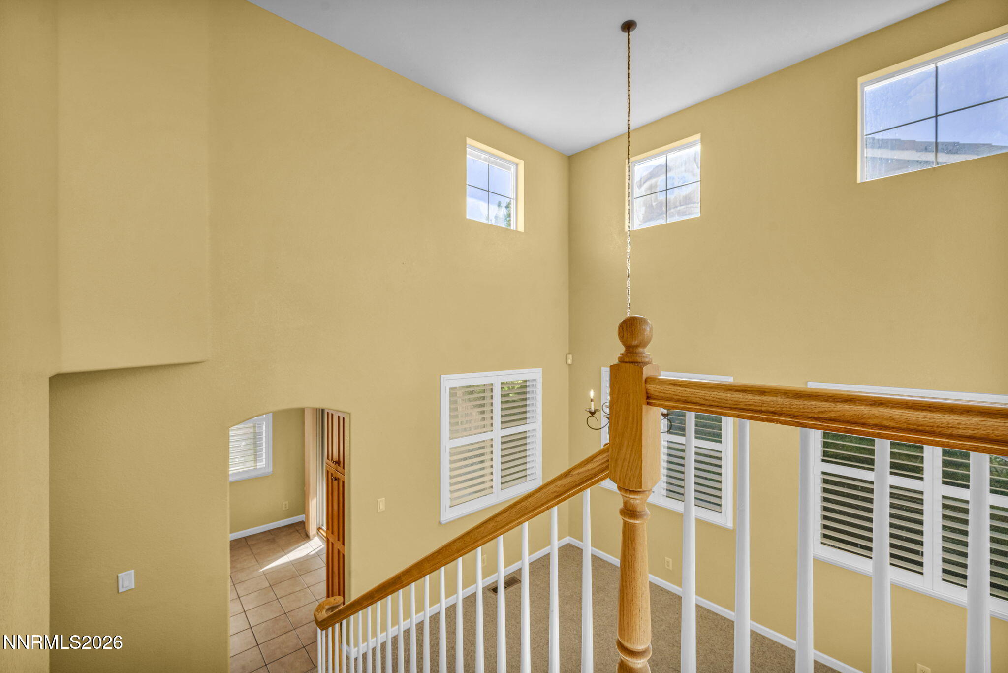 10048 Silver Star Drive Property Photo 25