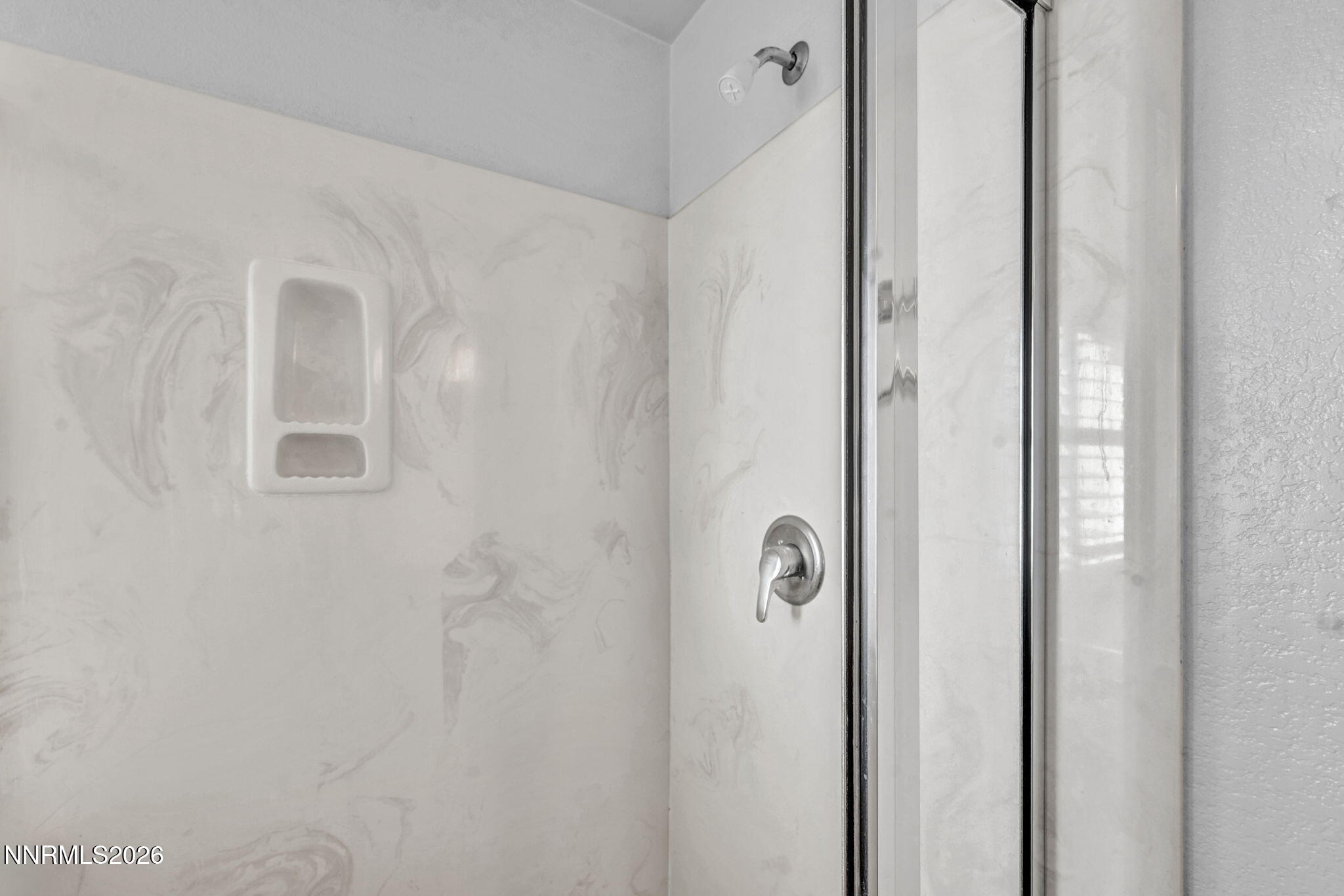 10048 Silver Star Drive Property Photo 37